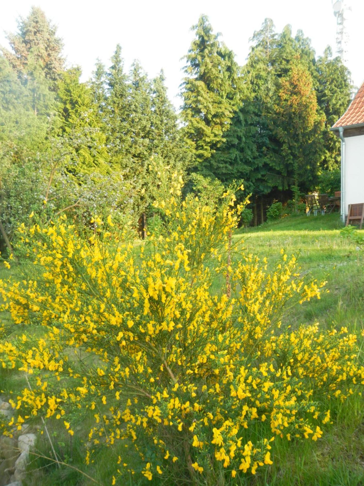 Ferienlandhaus Zempow Esterno foto