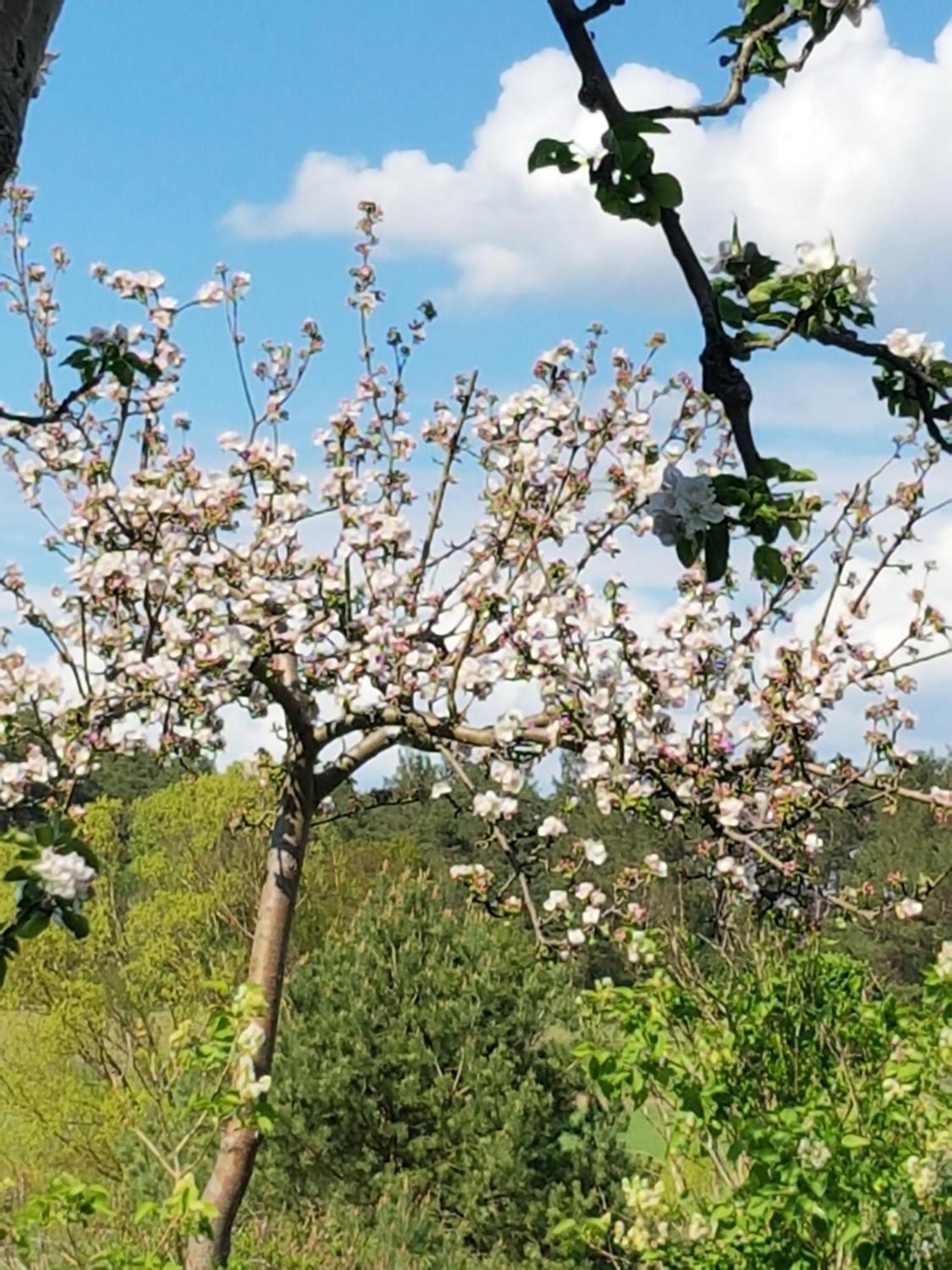Ferienlandhaus Zempow Esterno foto