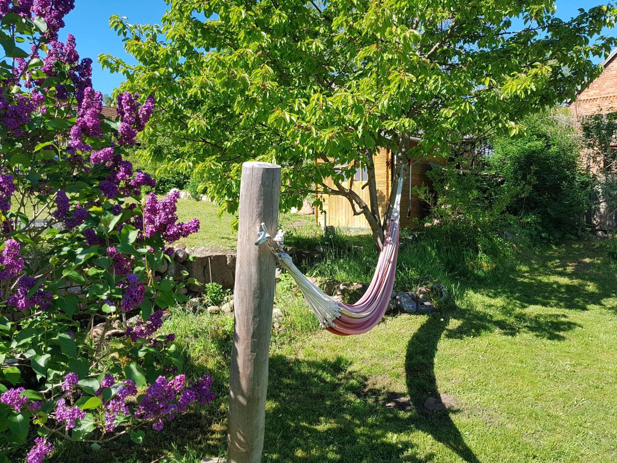 Ferienlandhaus Zempow Esterno foto