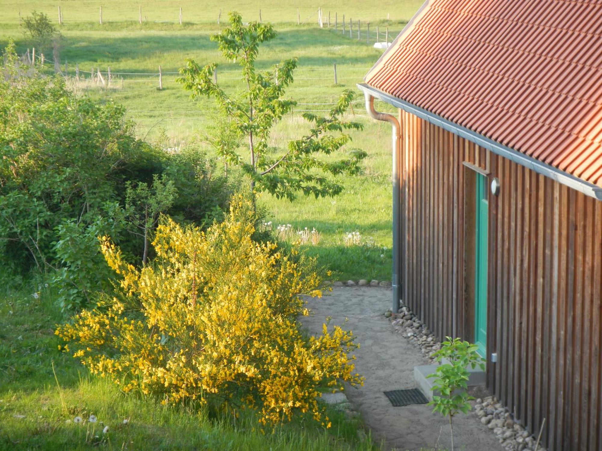 Ferienlandhaus Zempow Esterno foto