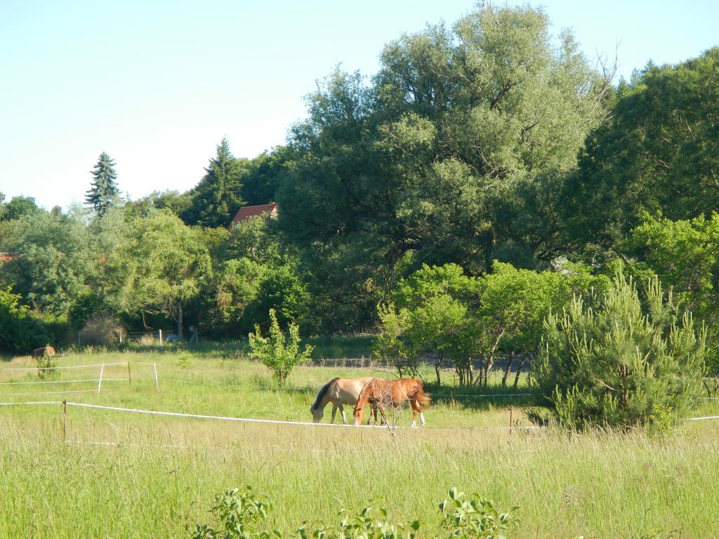 Ferienlandhaus Zempow Esterno foto