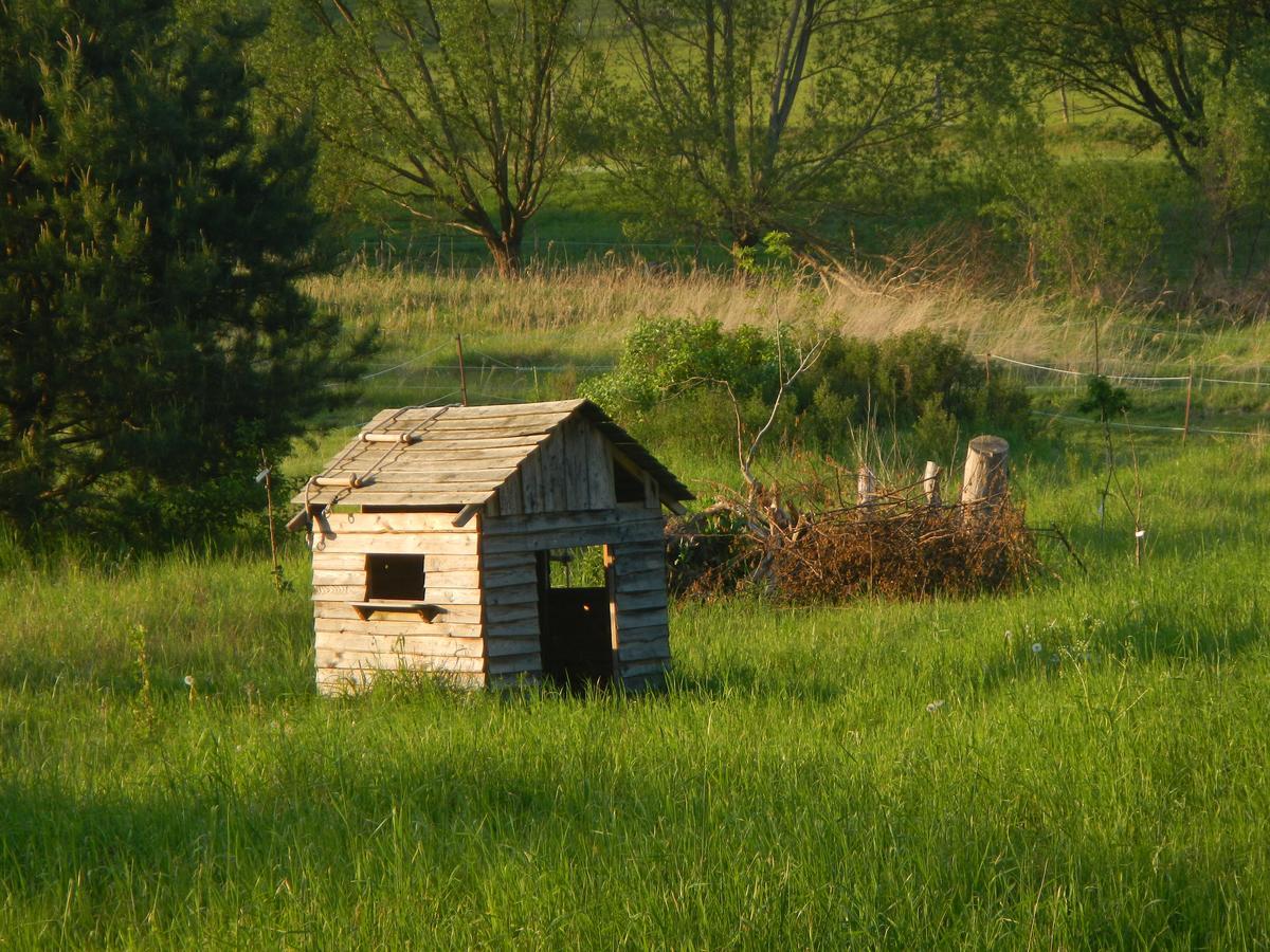 Ferienlandhaus Zempow Esterno foto
